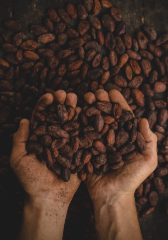 About Us Coffee