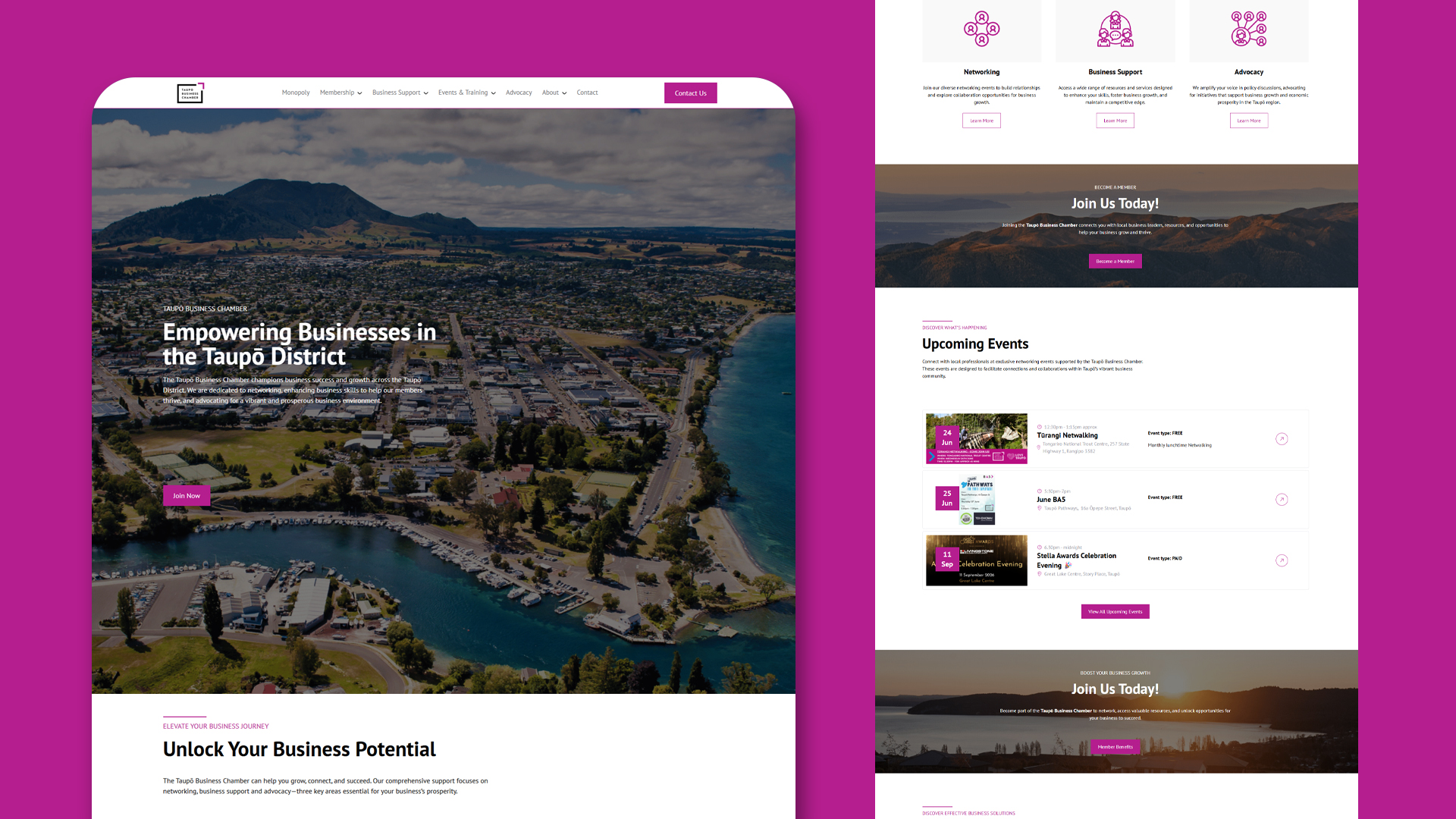 Chamber Web Feature And Scroll