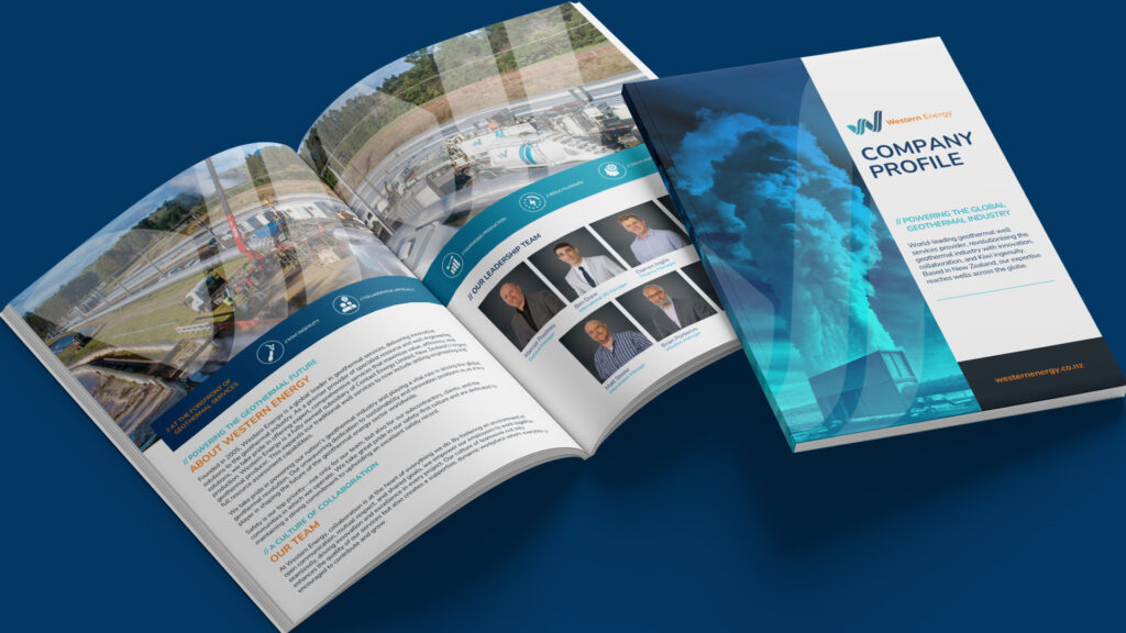 We Company Profile